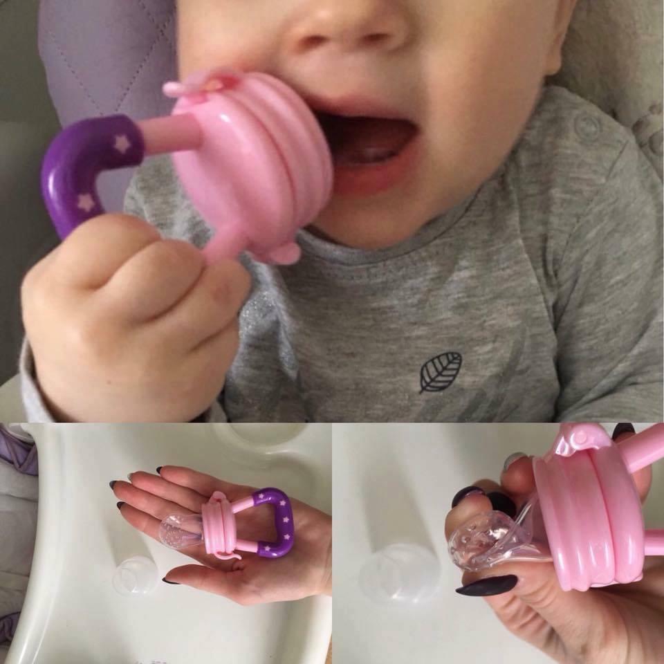 Fruit Feeder Pacifier