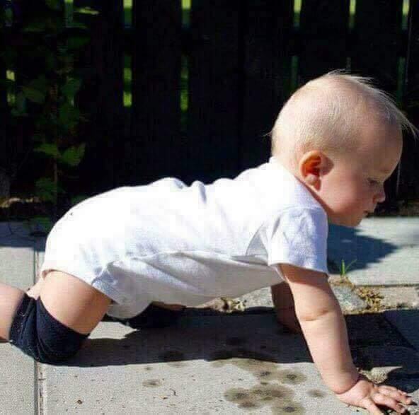 Baby Knee Pads