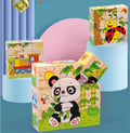 6-in-1 Wooden Block Puzzle (Random Design)