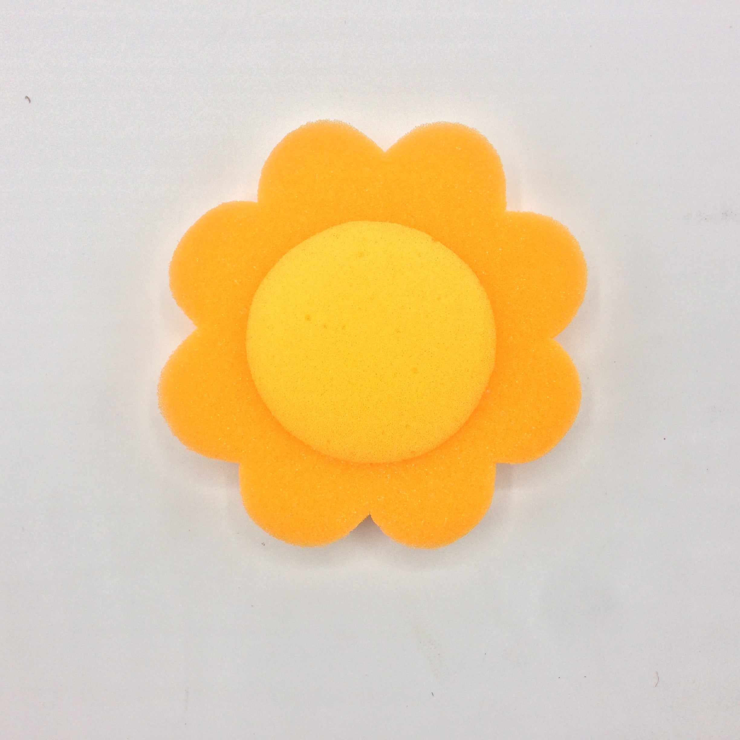Fruit Shaped Bath Sponge