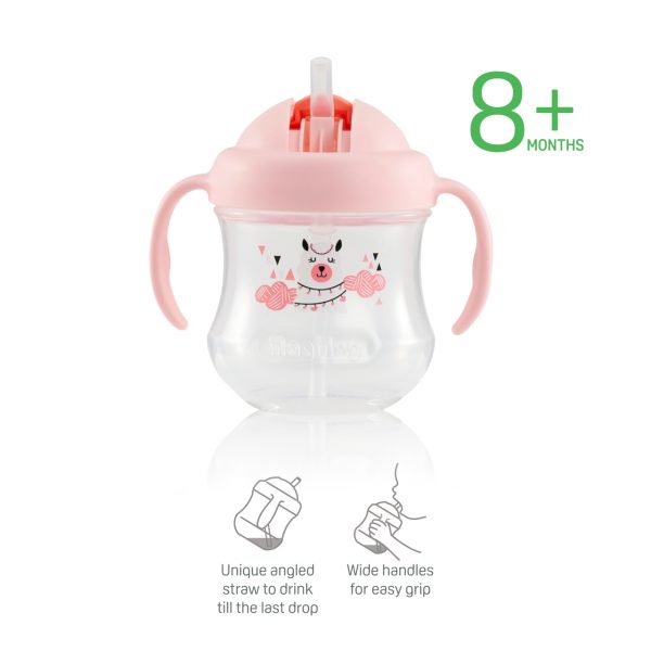 Pigeon Mag Mag Straw Cup Matte Pink-D79236