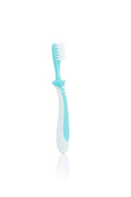 Pigeon Training Toothbrush Lesson 3 Green-K78342-1